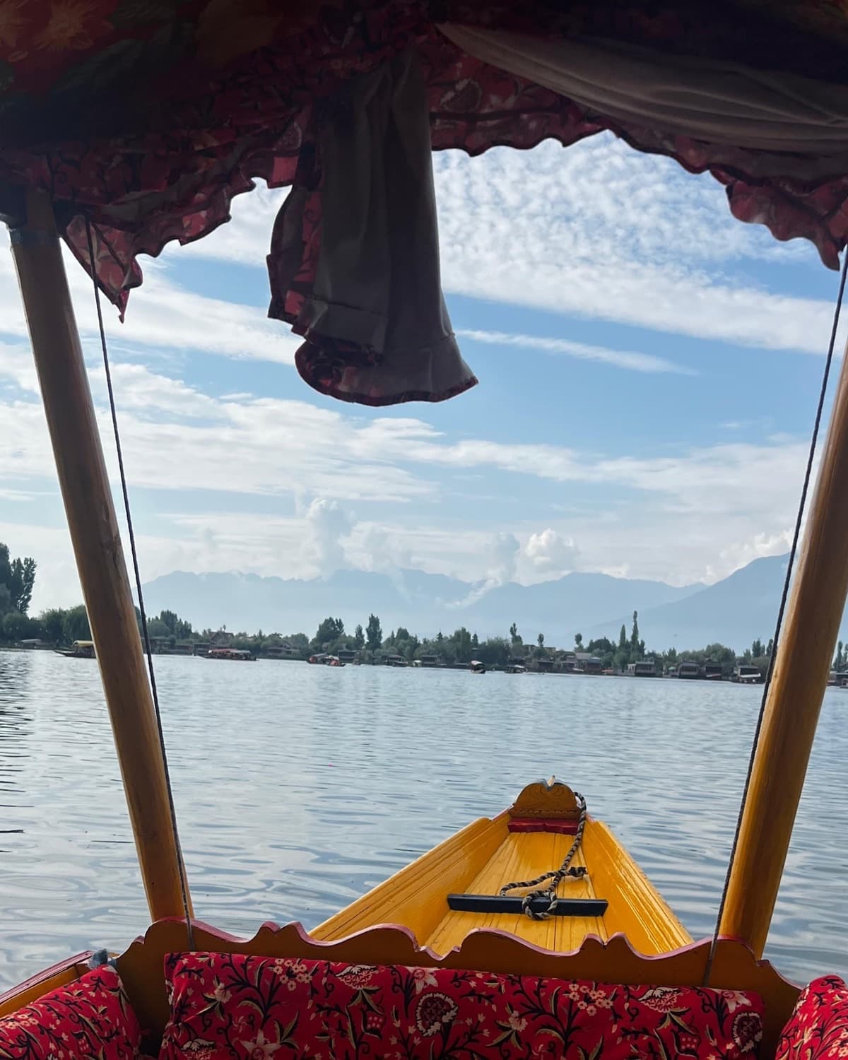 The view from inside a shikara on Dal Lake, its floral canopy framing the water, the far shore and the mountains